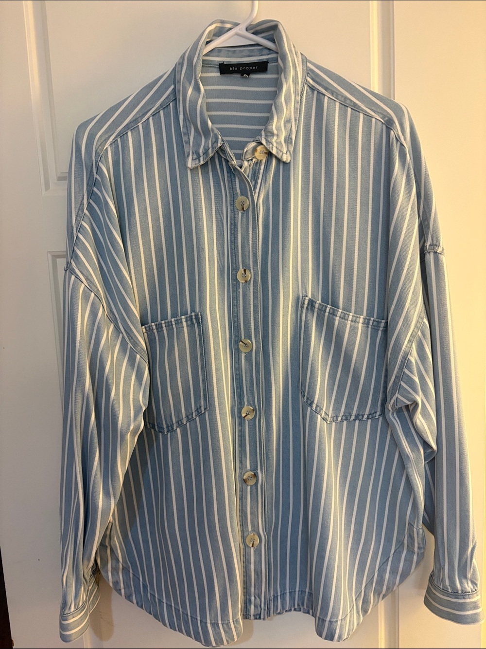 Blu Pepper Pinstripe Chambrey Button Up Shirt (L)